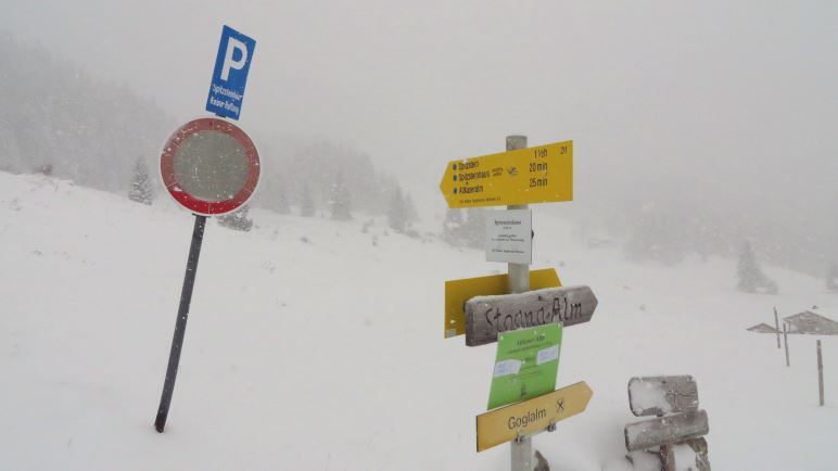 Schilderwald an der Google-Alm. Nein, Gogl-Alm heißt sie natürlich