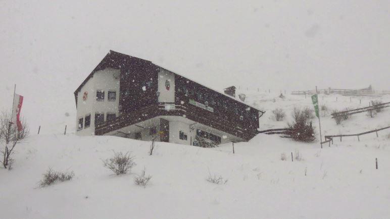 Nur noch wenige Meter zum Spitzsteinhaus