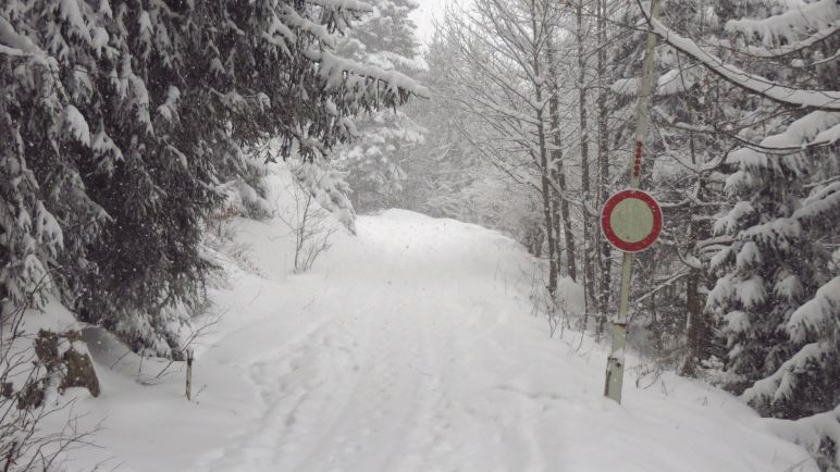 Auf dem Weg zum Spitzsteinhaus