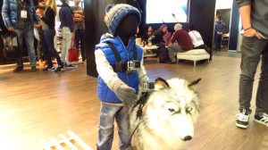 Die eigene GoPro für Kind und Hund