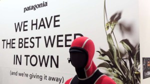 We have the best weed in town - und das glaube ich Euch sogar!