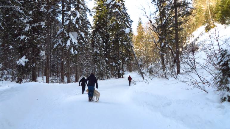 Auf dem Wanderweg in Richtung Schwarzentennalm