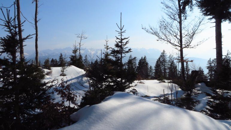 Im Abstieg im tiefverschneiten Wald