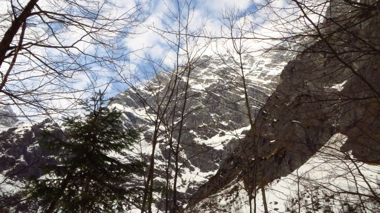 Durch den Wald haben wir einen Blick auf die Watzmann-Ostwand