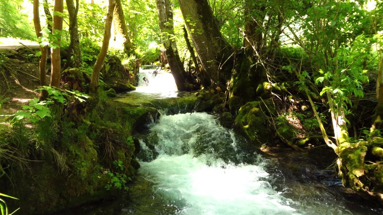 Der Brühlbach, manchmal fließt er träge dahin, manchmal sieht er wie ein Wildbach aus