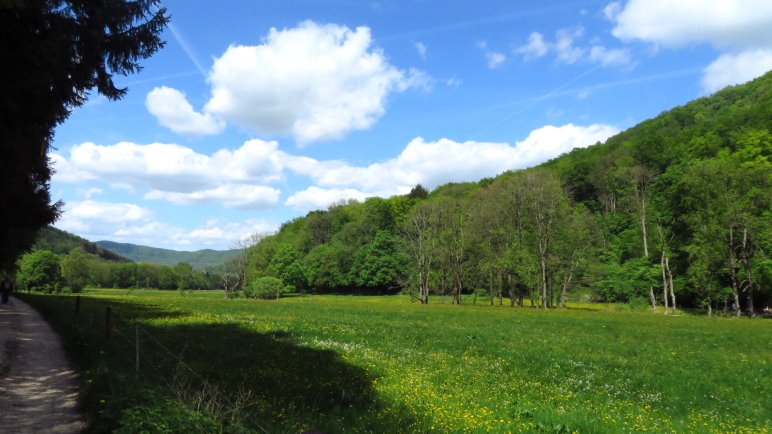 Auf dem Rückweg durch das Brühlbachtal