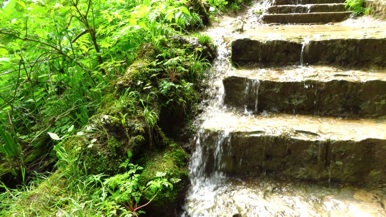 Das Wasser sucht sich seinen Weg, auch über die Treppenstufen