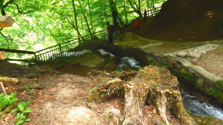 Der Blick von der Oberkante des Uracher Wasserfalls