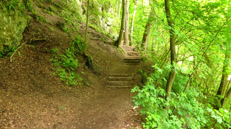 Weiter bergauf zur Wasserfallhütte