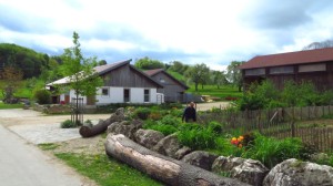 Am Bio-Hof Ziegelhütte auf der Alb