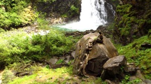 Ein Kunstwerk am ersten Reinbach-Wasserfall