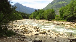 Der Reinbach im Ahrntal