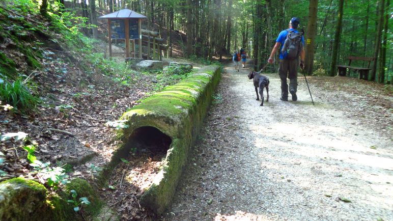 Wandern entlang der alten Soleleitung