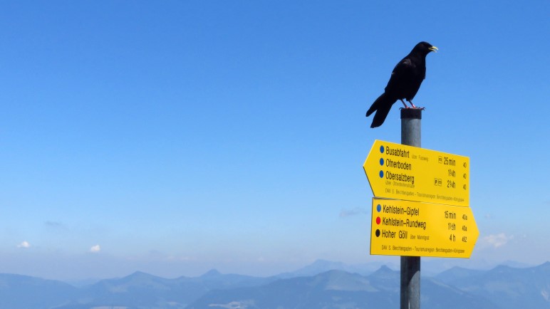 Sicher auch sehr interessant: Die Wanderungen auf den Hohen Göll und der Kehlstein Rundwanderweg