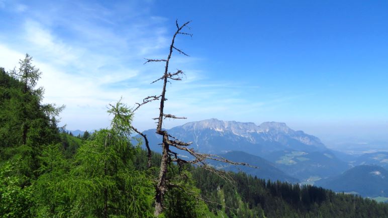 Ein Blick auf den Untersberg