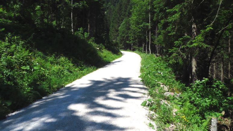 Der Wanderweg hinauf zum Kehlstein. Im unteren Teil sehr unspektakulär