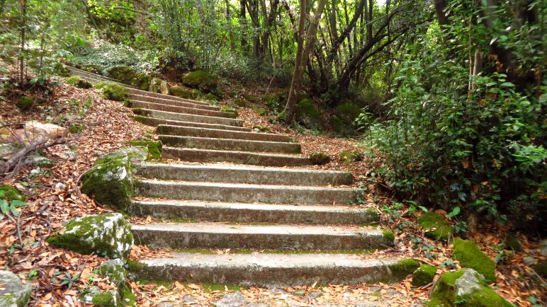 Eine Wanderung, deren Aufstieg nur aus Treppenstufen besteht: Von Mošćenička Draga nach Mošćenice