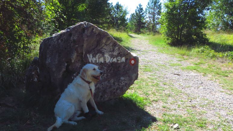 Am Beginn des Wanderweges zur Schlucht