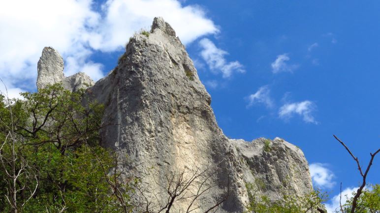 Felsen in der Vela Draga