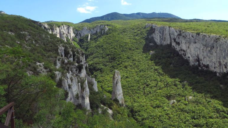 Die Vela Draga Schlucht. Vorne die Felssäulen, rechts die lange Felswand und im Hintergrund sieht man den Vojak, Istriens höchsten Berg