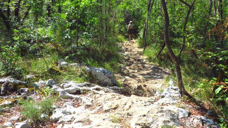 Der Wanderweg zur Vela Draga Schlucht ist leicht zu gehen, aber steinig