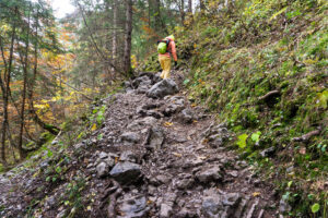 Der Weg ist wurzelig und steinig