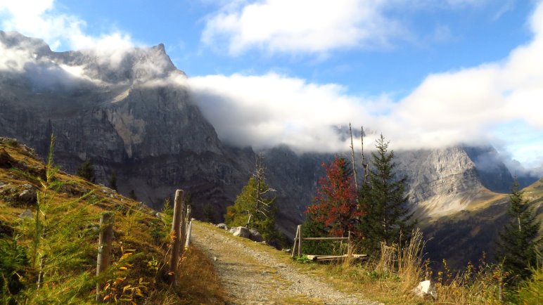 An der Drijaggenalm: Der Blick hinüber zur Spritzkarspitze und zu den Lalidererwänden