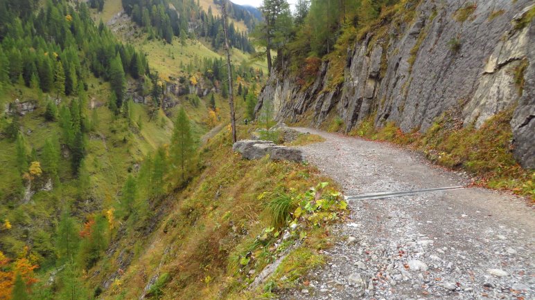 Auf dem Fahrweg zur Binsalm