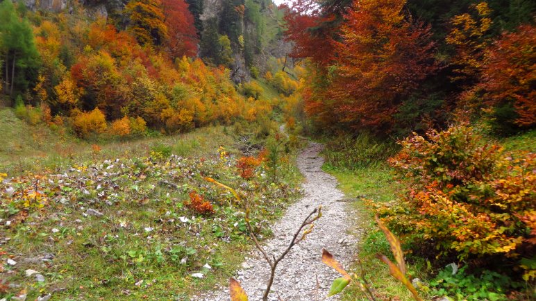 Der Wanderweg zur Binsalm zweigt gleich hinter dem Alpengasthof Eng nach links ab