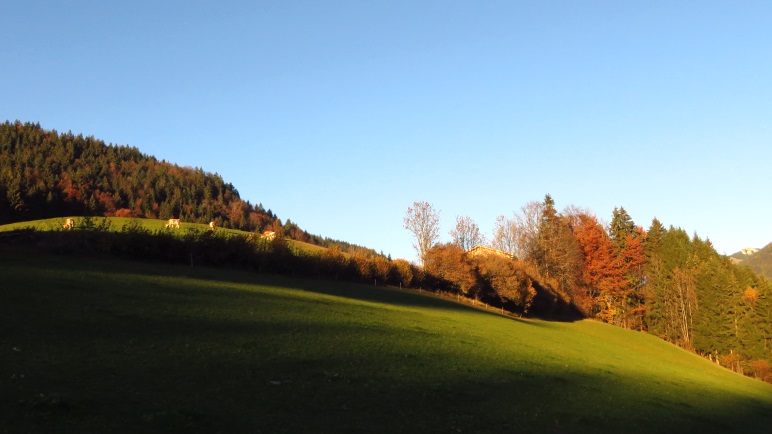 Eine Wiese in der Abendsonne bei Mitterleiten