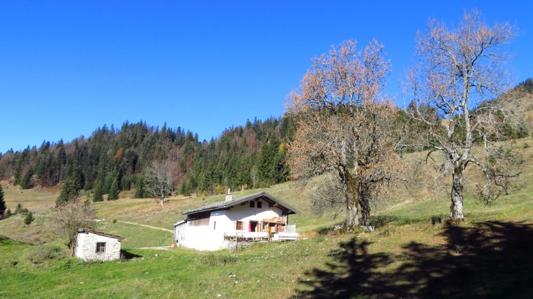 Auf der großen Almfläche in Richtung Spitzsteinhaus
