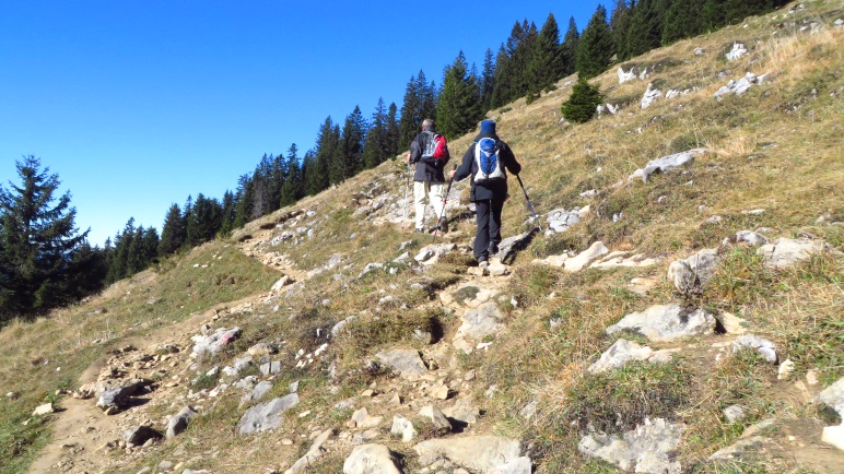 In Serpentinen führt der Weg über Almwiesen hinauf zum Spitzstein
