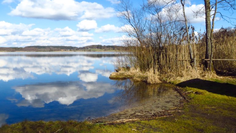 Eine schöne Eingehtour, fast ohne Höhenmeter: An den Seen der Eggstätt-Hemdorfer Seenplatte