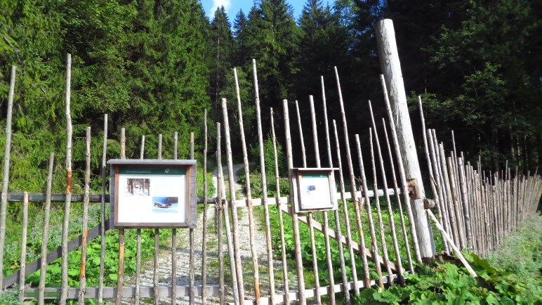 An der Schaufütterung neben der Valepp-Straße