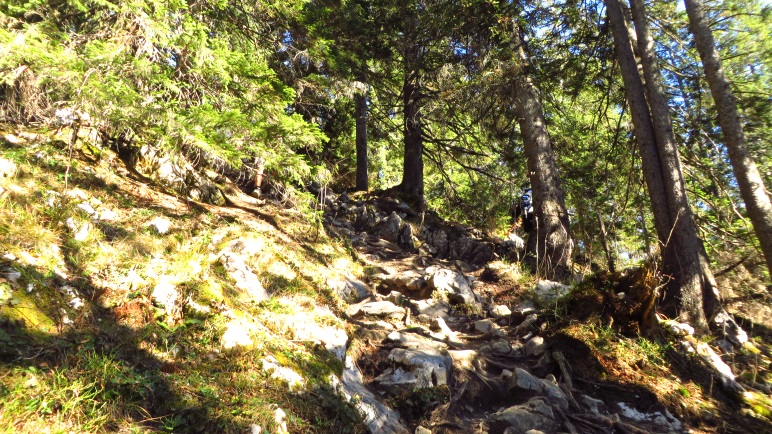 Im Wald wird der Weg deutlich steiniger und führt "Zach" bergauf