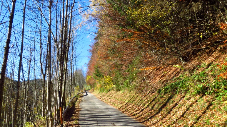 Auf der Straße von Sachrang nach Miterleiten
