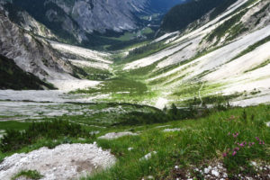 Der Blick zurück zur Gramai-Alm und durch das Falzthurntal