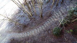 Die Treppe an der Brücke führt hinunter zum Wanderweg und nach Alt-Fall