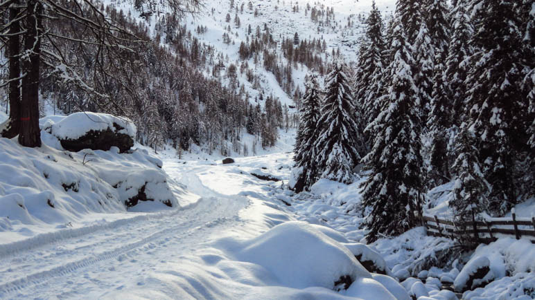 Der verschneite Abstiegsweg von der Ulfaser Alm