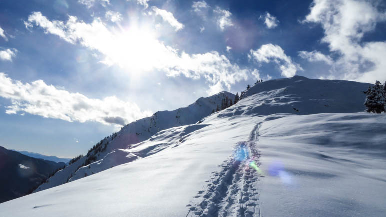 Nur eine Aufstiegsspur auf das Hahnl ist zu sehen. Die von unserer Schneeschuh-Wandergruppe