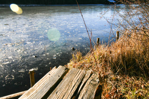 Pause am Hackensee