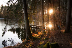 Schöne Lichtstimmung