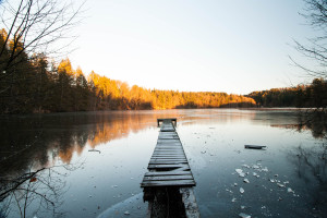 Der alte Steg am Hackensee