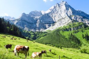 Die eindrucksvollen Karwendelberge