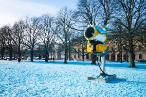 Der blaue Schnee an der Arcisstraße hat sich auf auf die Äste der Bäume gelegt