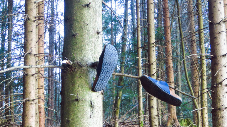 Beim Schlappen durch den Wald treffen wir auf diese Schlappen am Baum