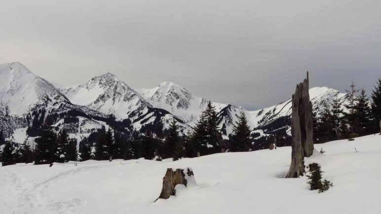 Das Panorama ist wieder da!