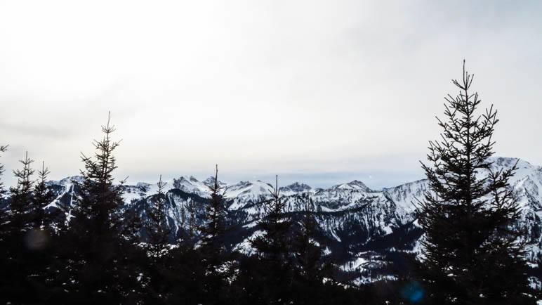 Unser Panoramablick über die Tannen bei der esten Rast am ersten Gipfelkreuz