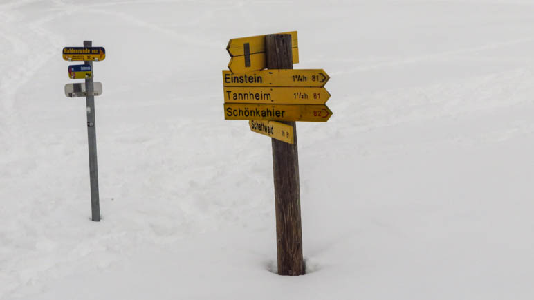 Viele Wege, keiner führt nach Rom. An diesem Wegweiser treffen wir später wieder auf unseren Aufstiegsweg