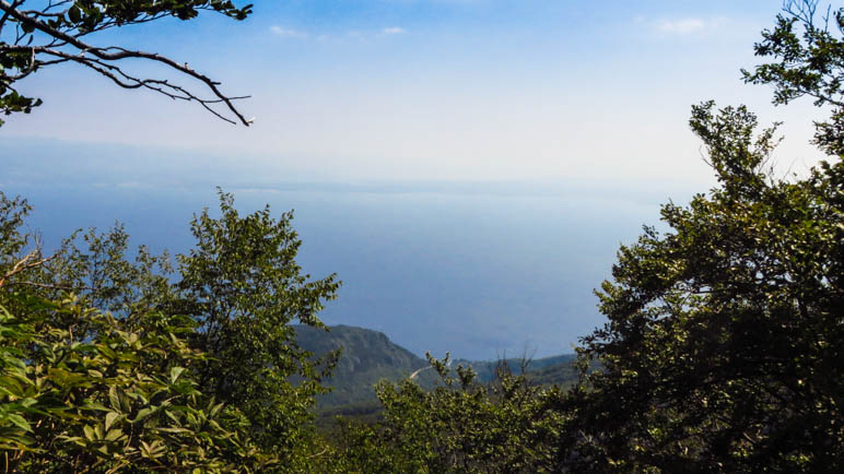 Ein Blick aus dem Wald heraus auf die Kvarner Bucht